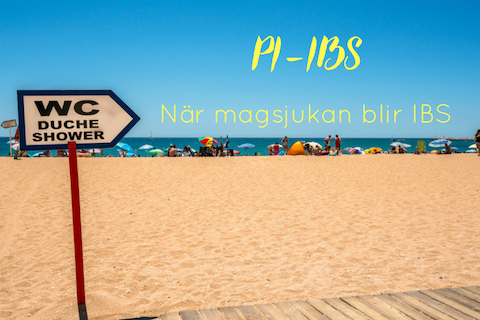 PI-IBS