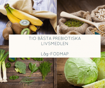 prebiotika